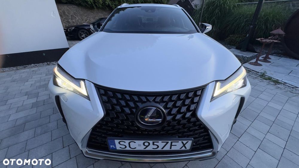 Lexus UX - 31