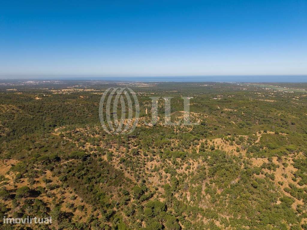 Terreno na Serra de Melides, litoral alentejano, em Melides - Grande imagem: 4/8