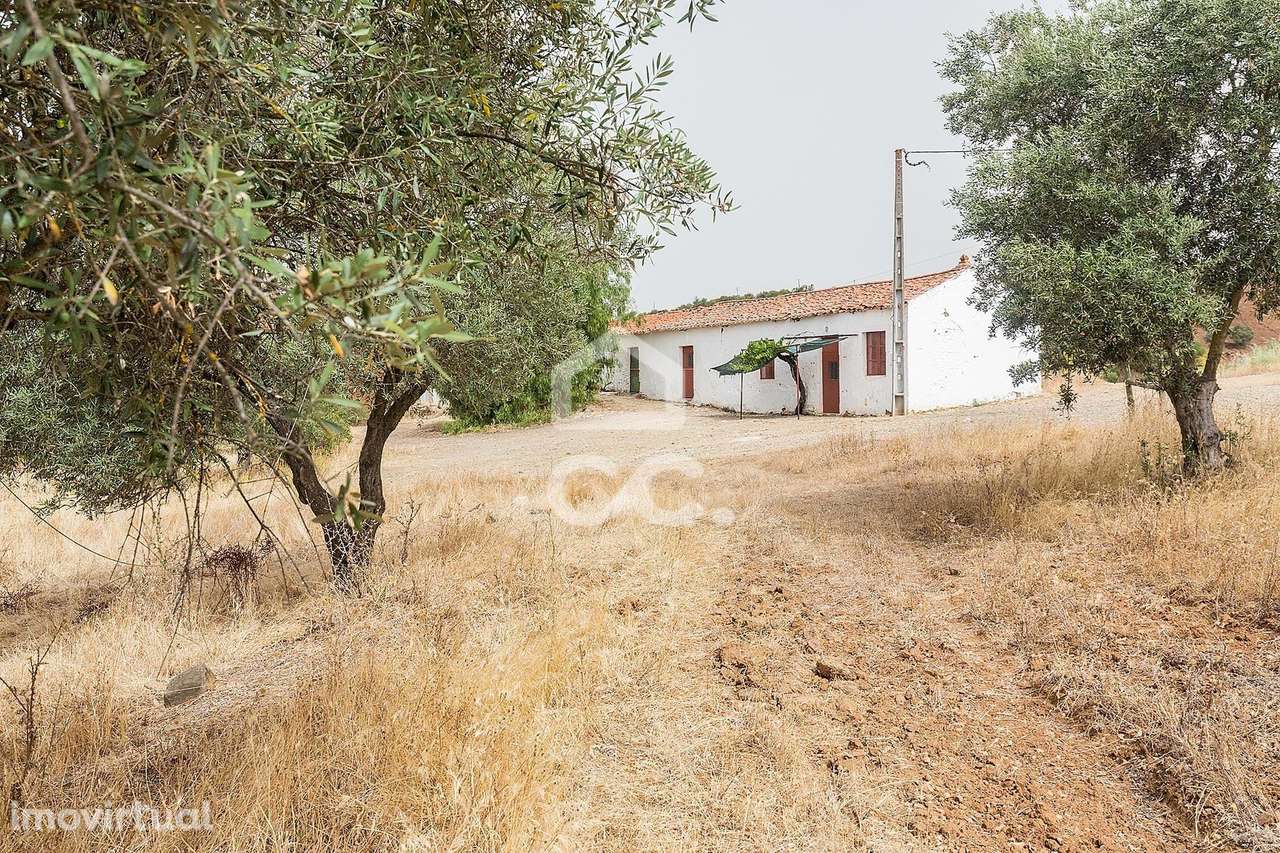 Herdade de 18,7 hectares com monte junto ao Guadiana | Serpa - Grande imagem: 3/60