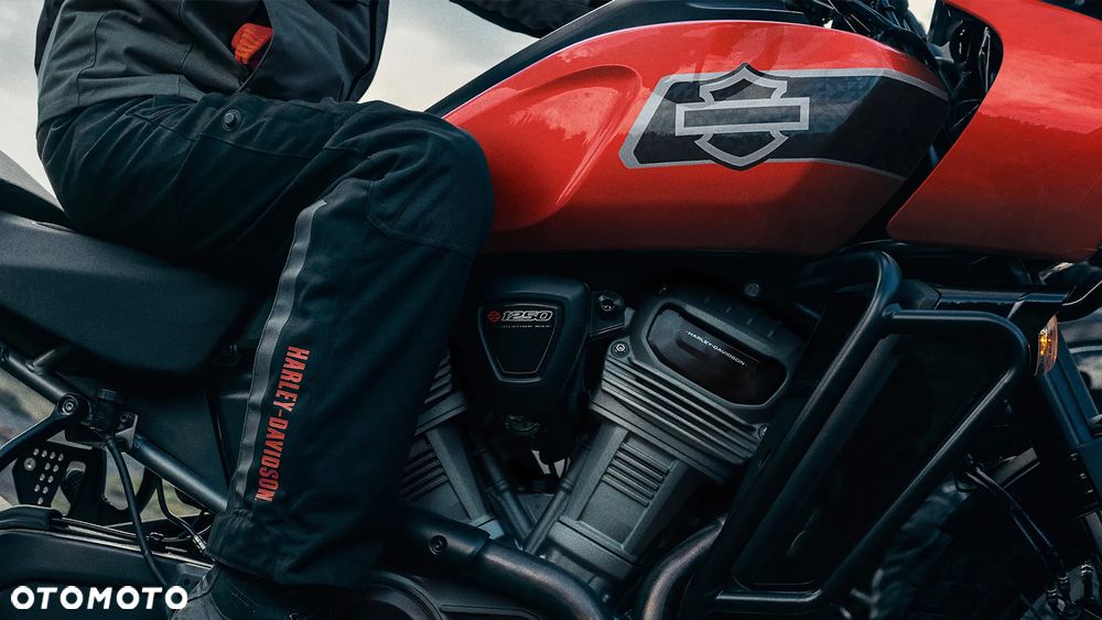 Harley-Davidson Pan America - 10