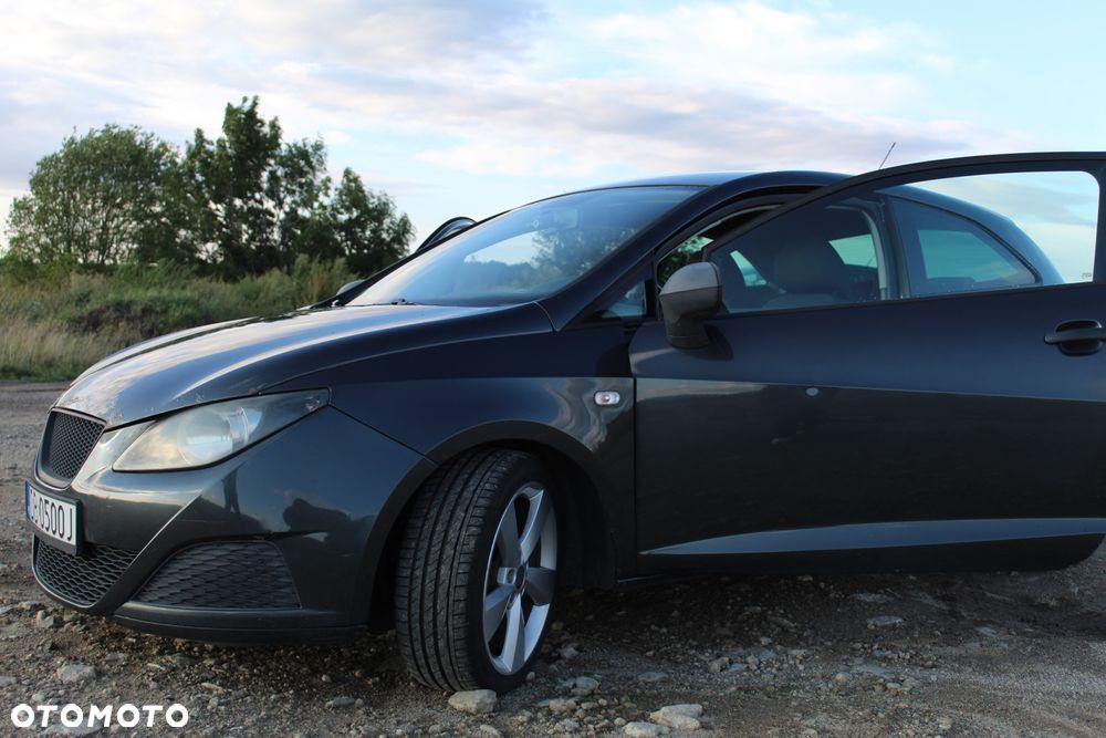 Seat Ibiza 2010 photo 2