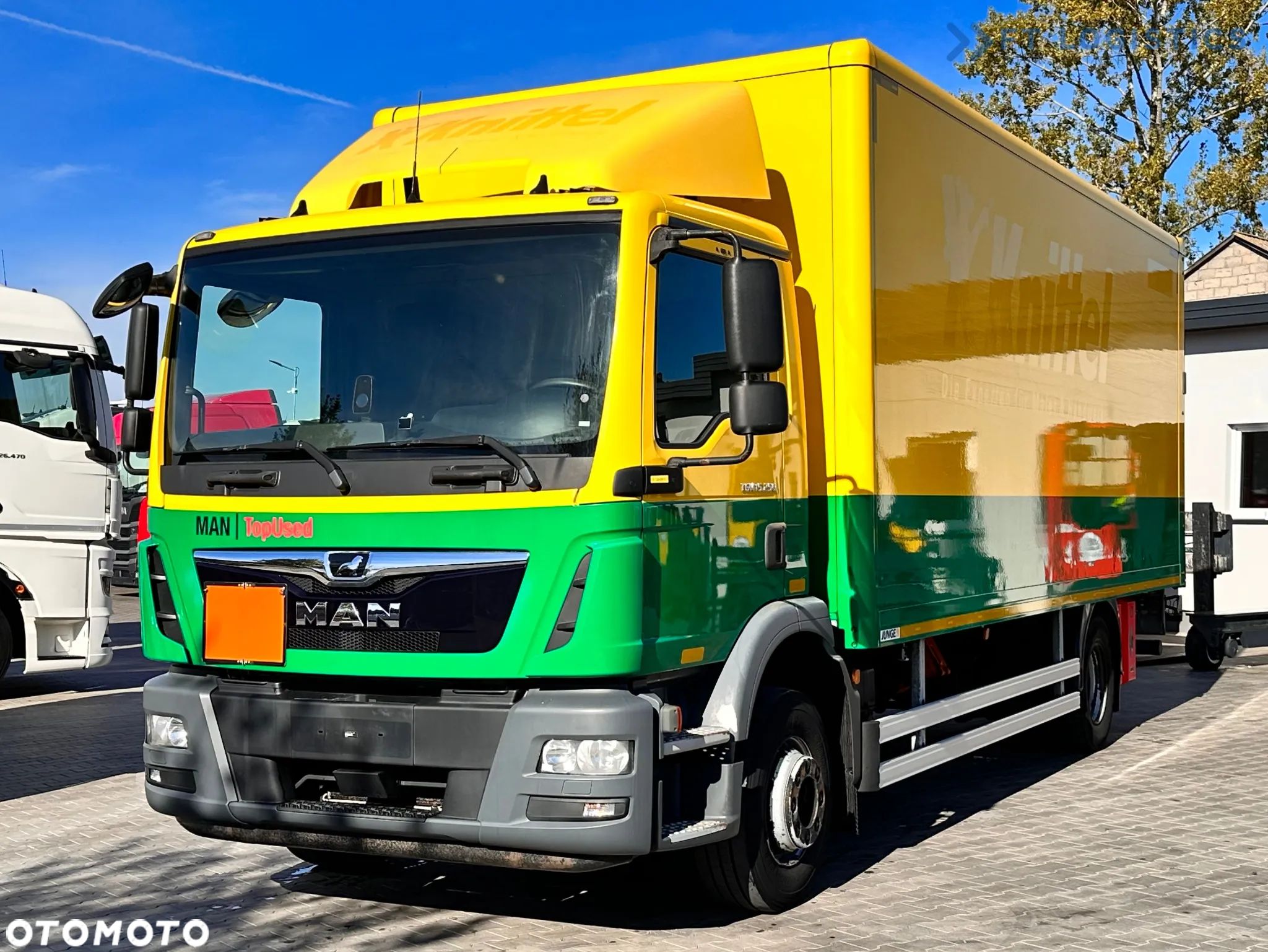 MAN MAN TGM 15.250 4X2 / KONTENER - 16X PALETA / WINDA / OPONY 80% / STAN IDEALNY - 1