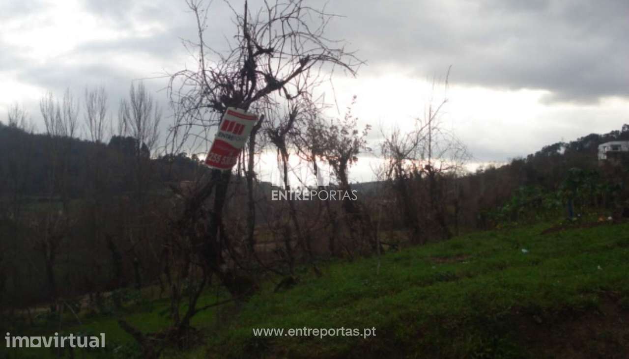 Venda Terreno, vista desafogada, Campelo, Baião - Grande imagem: 2/6