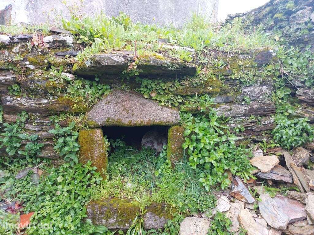 Venda Moradia - Grande imagem: 4/9