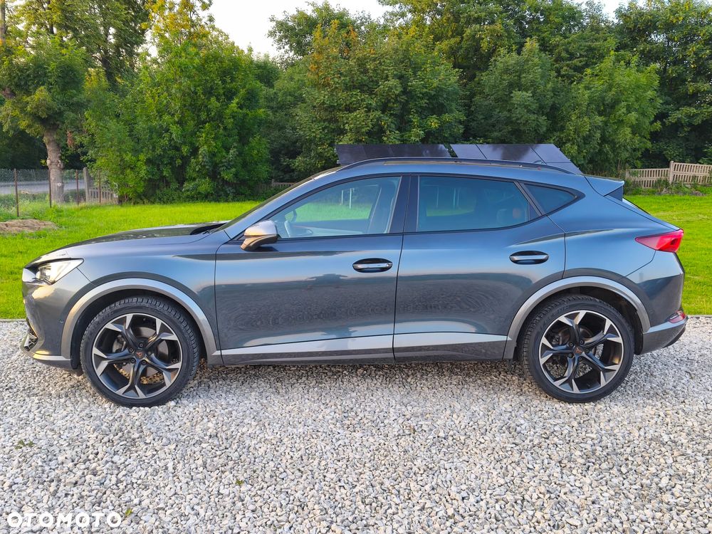 Cupra Formentor 1.5 TSI DSG Tribe Edition - 11