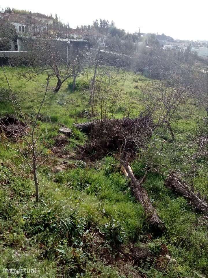 Terreno para construção no Lugar de Pedra Branca OAZ - Grande imagem: 3/4