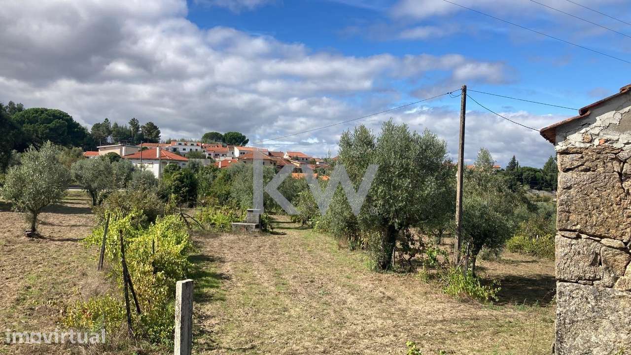 Terreno em Vila do Mato, Tábua - Grande imagem: 3/6
