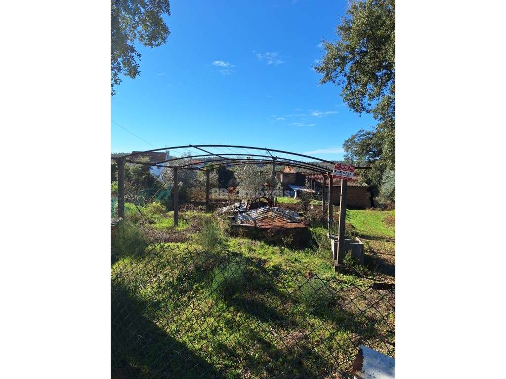 Quintinha com Casa em Pedra - Grande imagem: 3/15