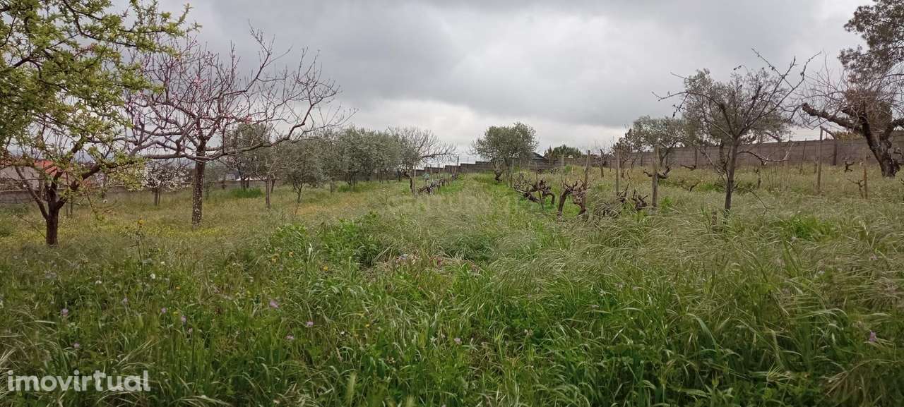 Terreno para construção, Retaxo, Castelo Branco - Grande imagem: 3/29