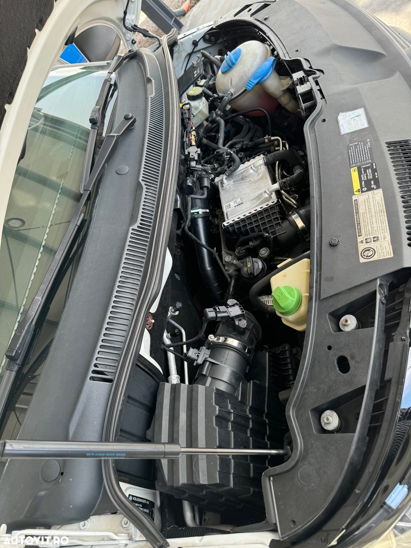 Volkswagen Transporter Lung - 21