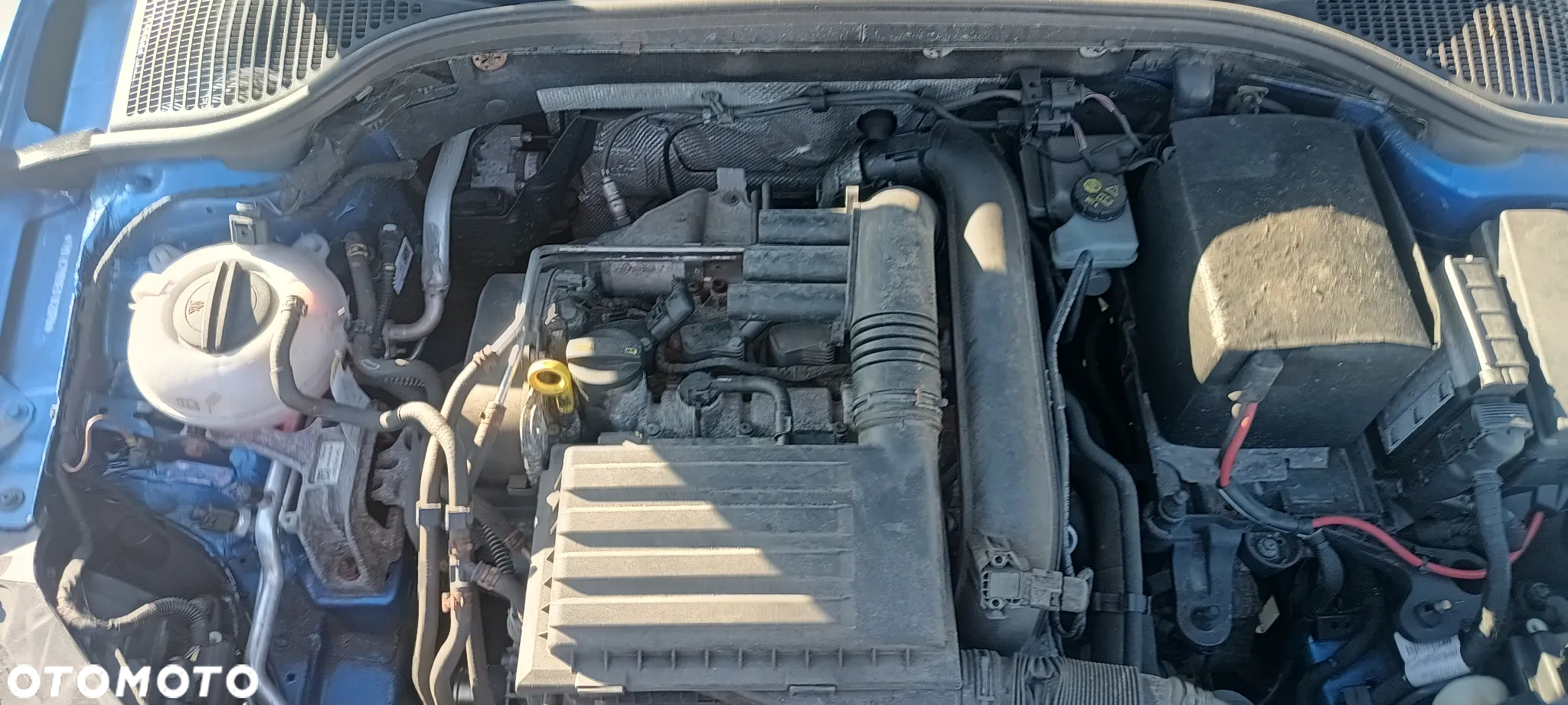 Skoda Octavia 1.4 TSI Active - 22