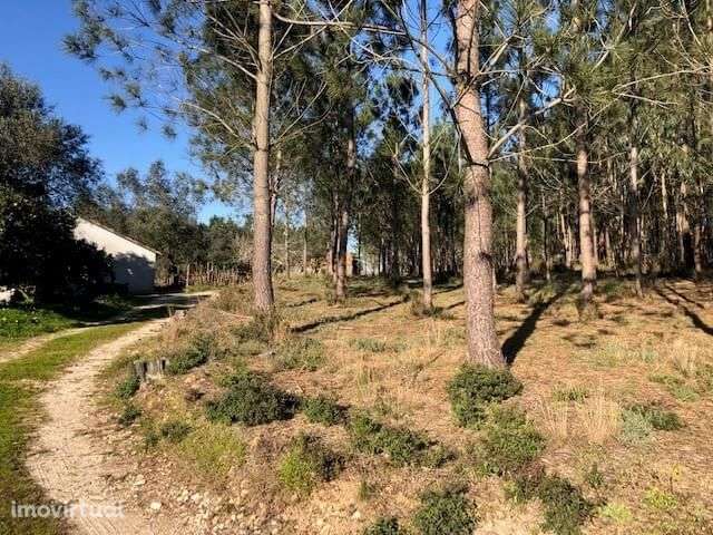 Terreno Rústico em Perímetro Urbano 1.2 ha, Pombal - Grande imagem: 4/8