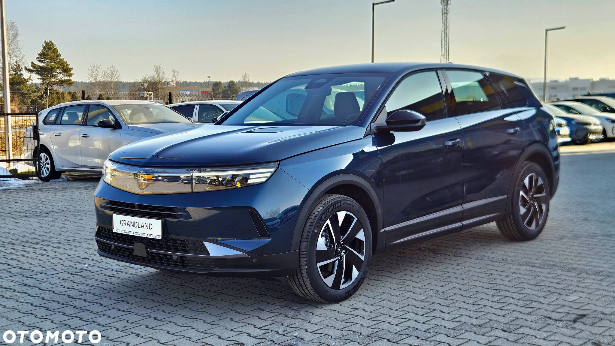 Opel Grandland 1.2 T mHEV Edition S&S eDTC6 - 4