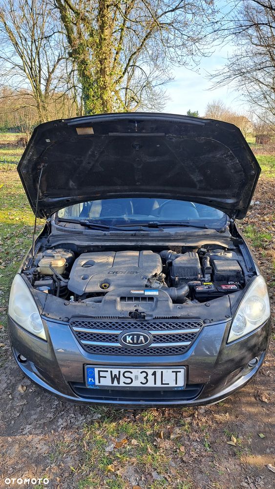 Kia Ceed 1.6 CRDi 115 Dream-Team Edition - 8