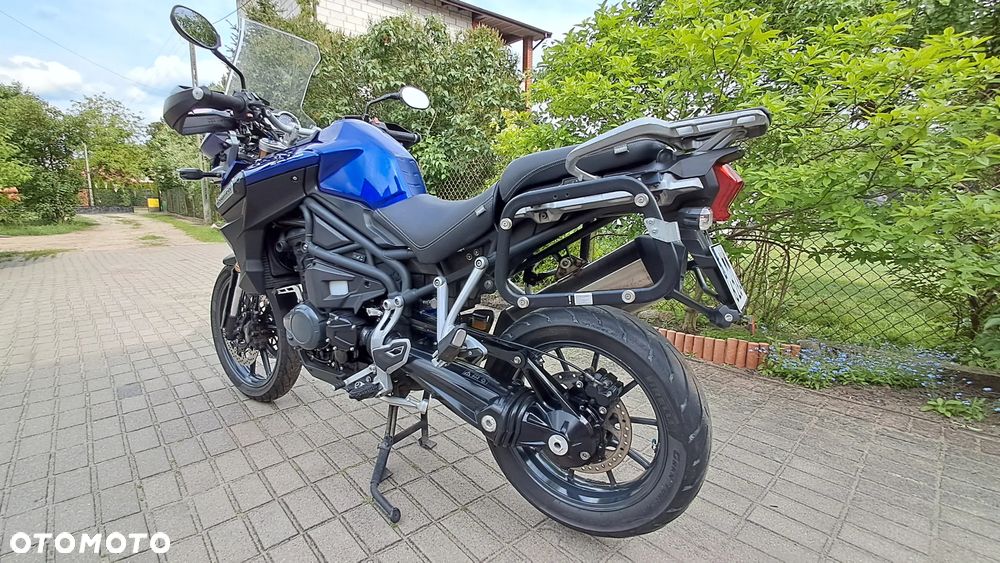 Triumph Tiger - 24