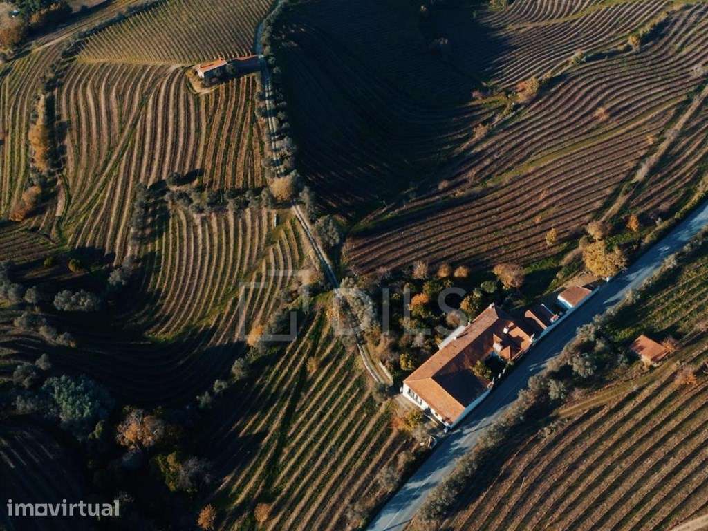 Quinta T6 em Lamego, Cambres, com vinha e vistas rio Douro - Grande imagem: 4/25