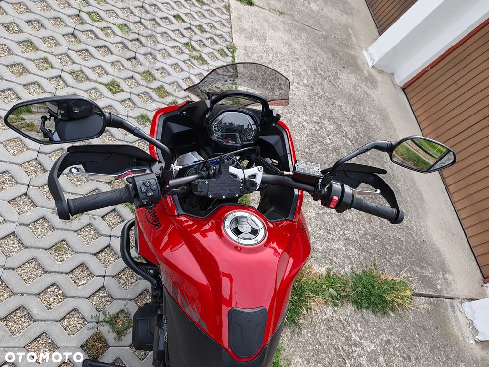 Triumph Tiger - 9