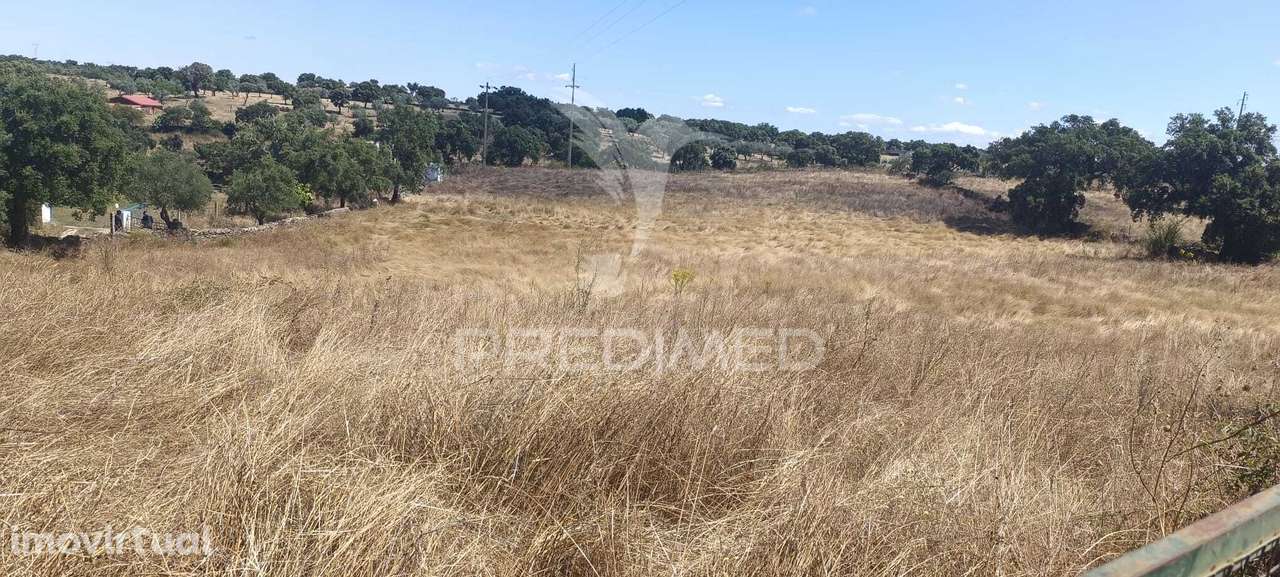 Terrenos Rústicos em Montalvão/Nisa - Grande imagem: 3/20