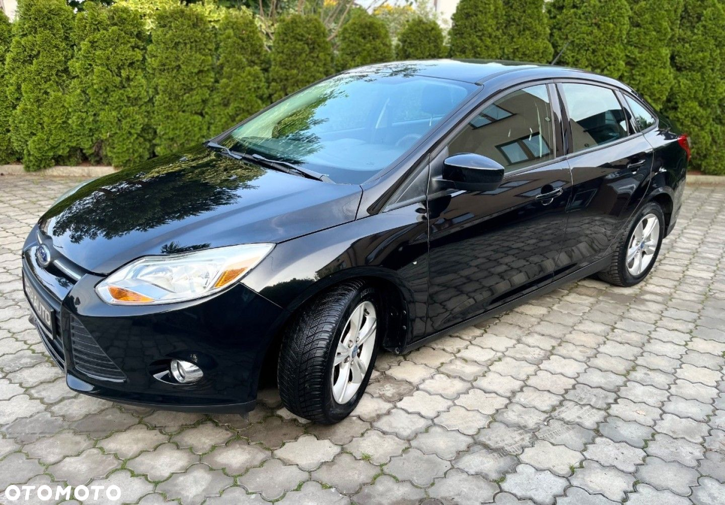 Ford Focus - 6