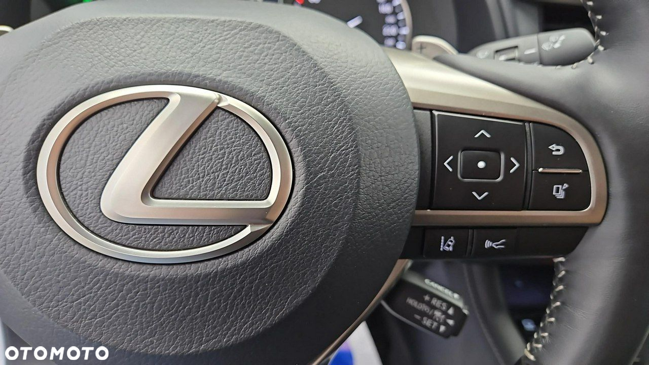 Lexus RX 450h F-Impression - 15