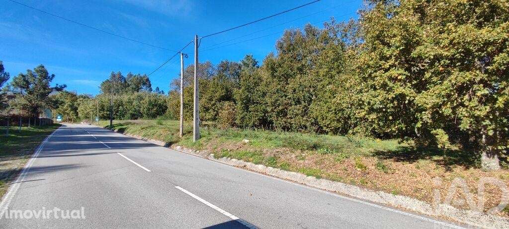 Terreno em Mões de 7230,00 m2 - Grande imagem: 3/20