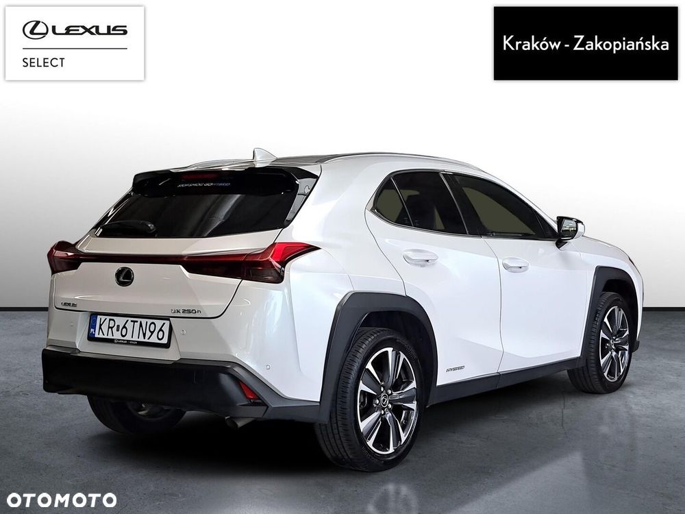 Lexus UX 250h GPF Business Edition 2WD - 6