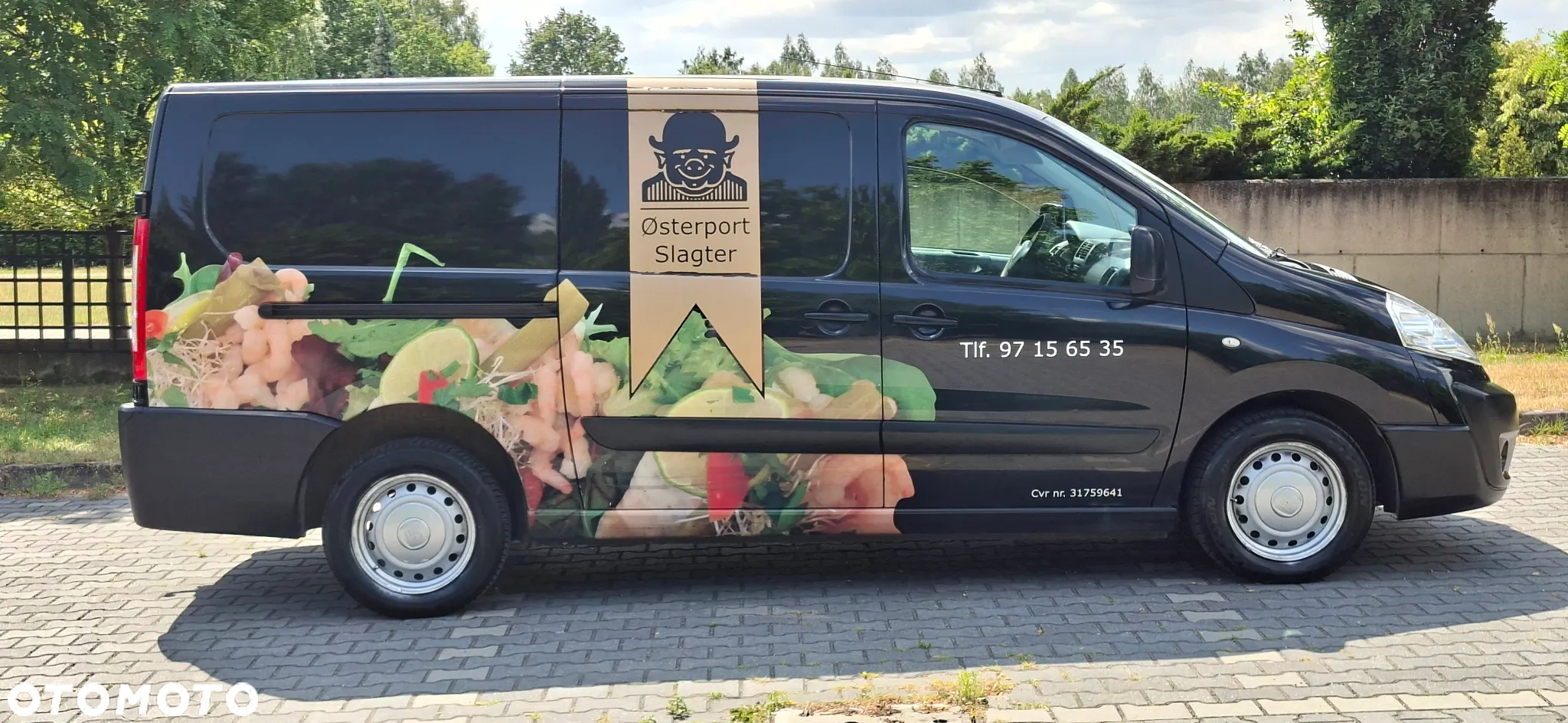 Fiat Scudo - 10