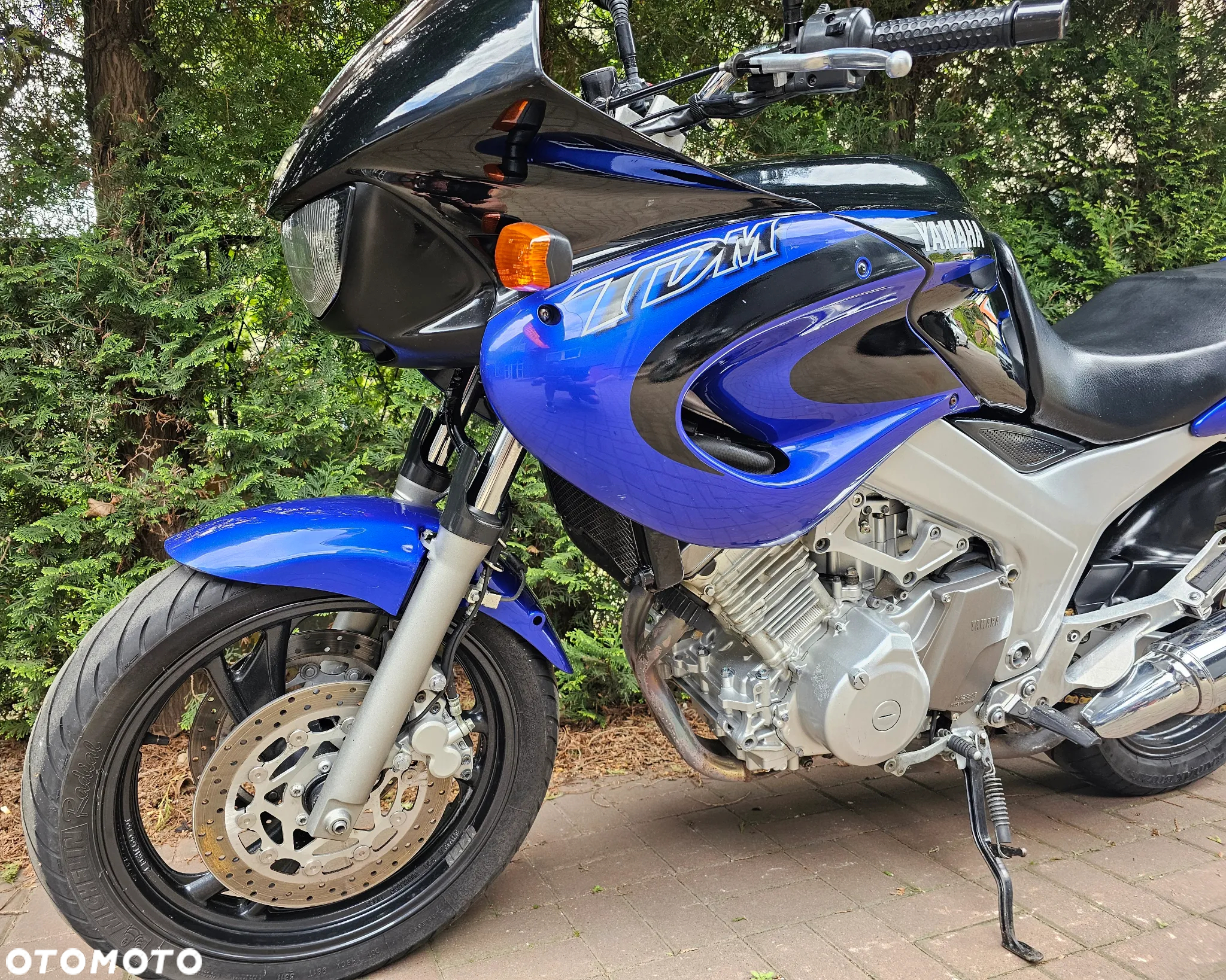 Yamaha TDM - 15