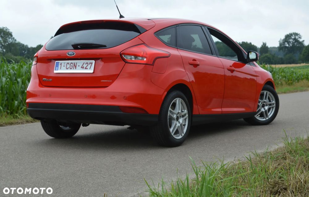 Ford Focus - 8