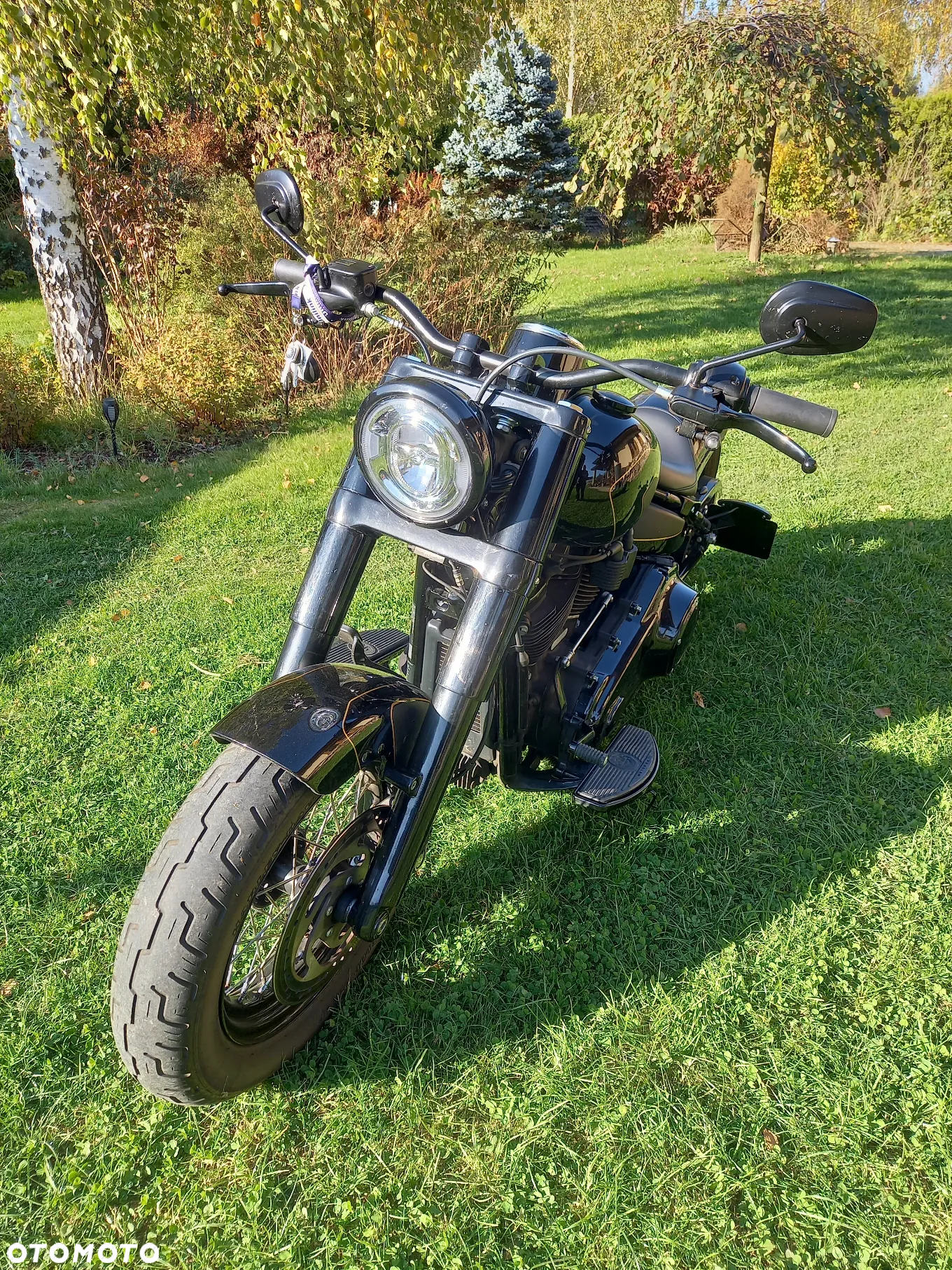 Harley-Davidson Softail Slim - 8