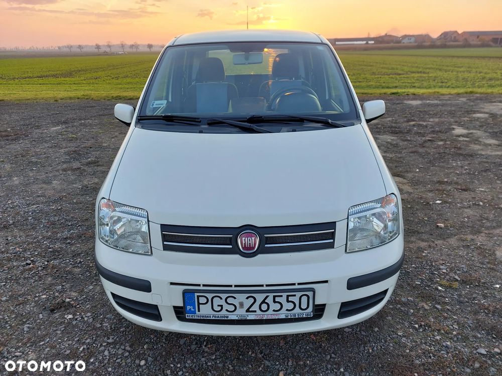 Fiat Panda 1.2 Dynamic - 1