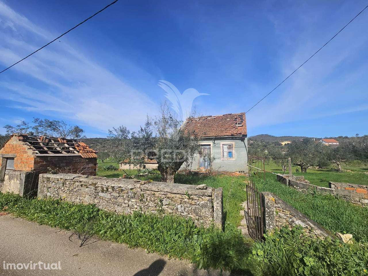 Moradia para restaurar - Grande imagem: 5/13