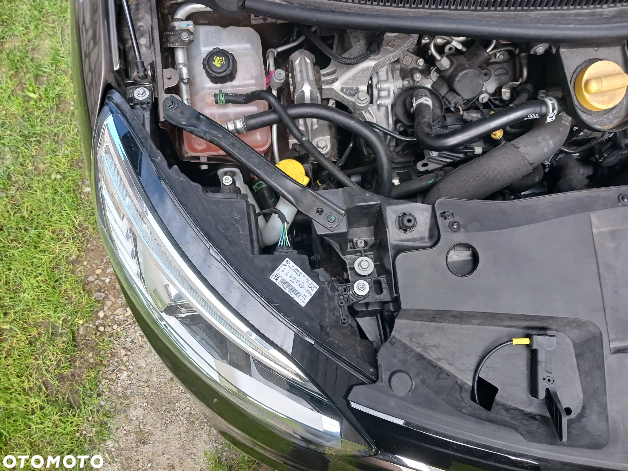 Renault Scenic - 23