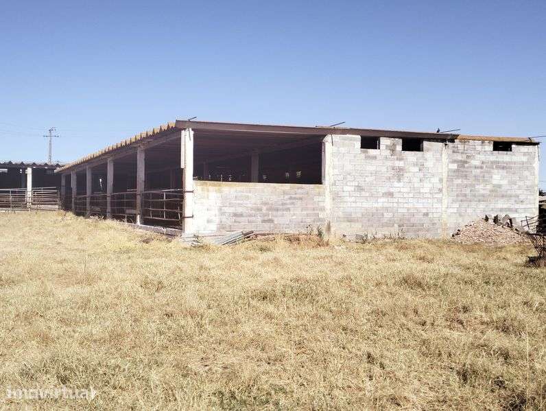 Alugar terreno com armazens - Grande imagem: 3/4