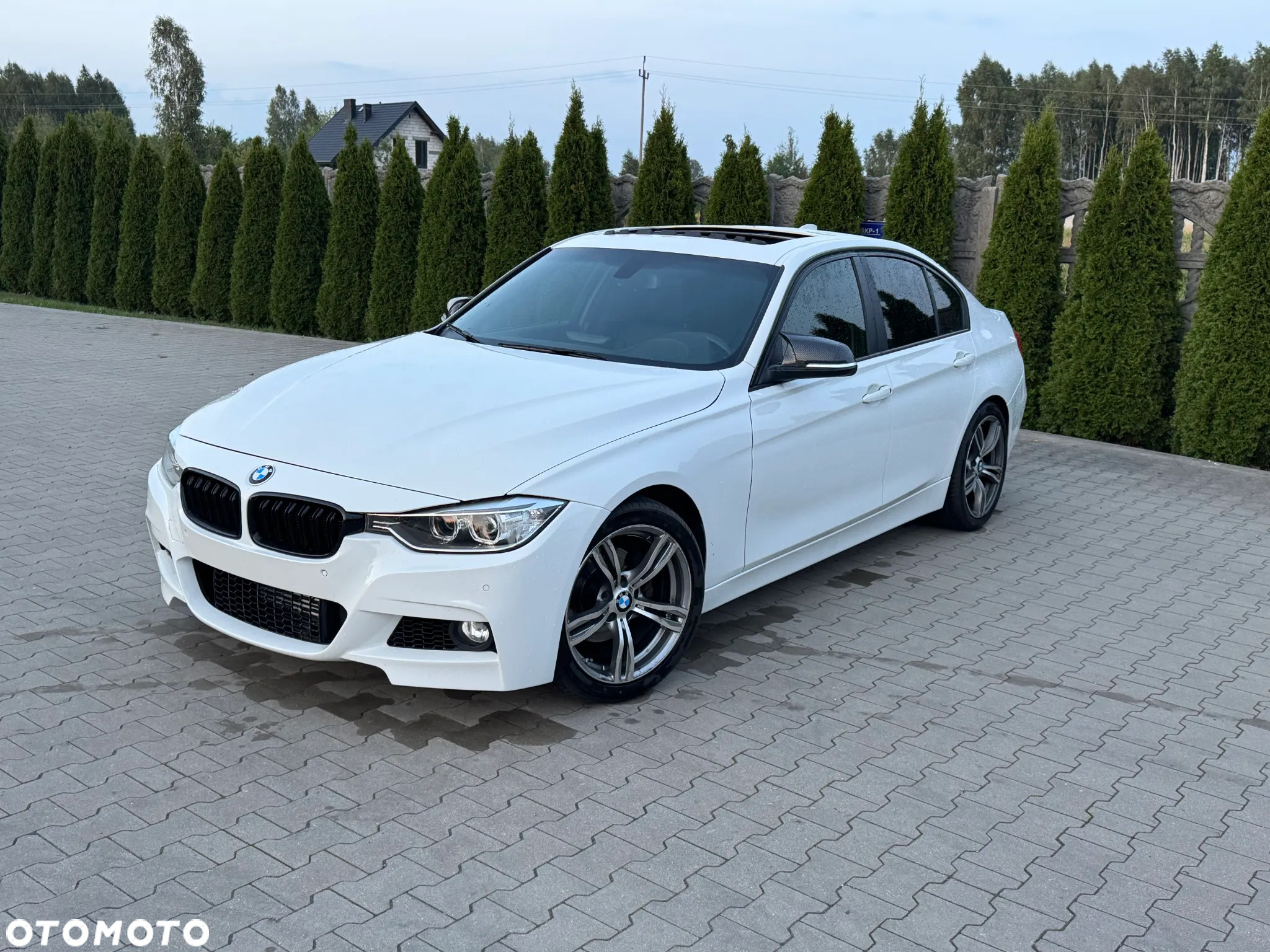 BMW Seria 3 320i Sport Line - 2