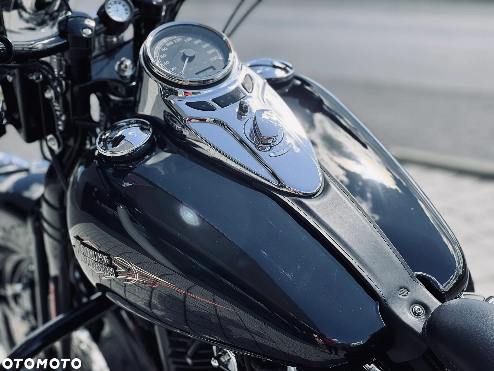 Harley-Davidson Softail Cross Bones - 16