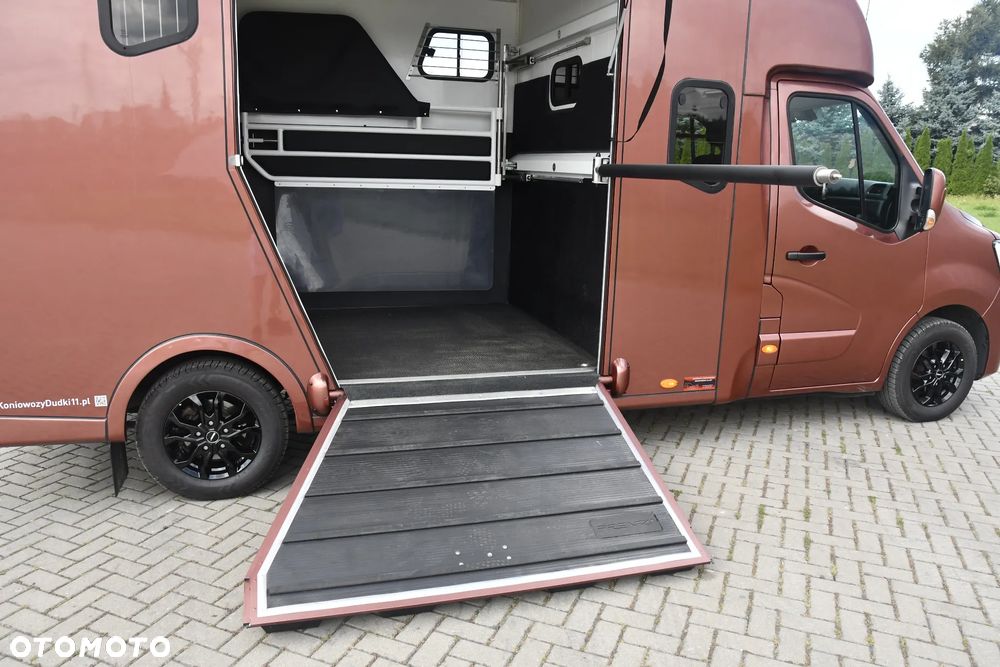 Renault Master Koniowóz - 15