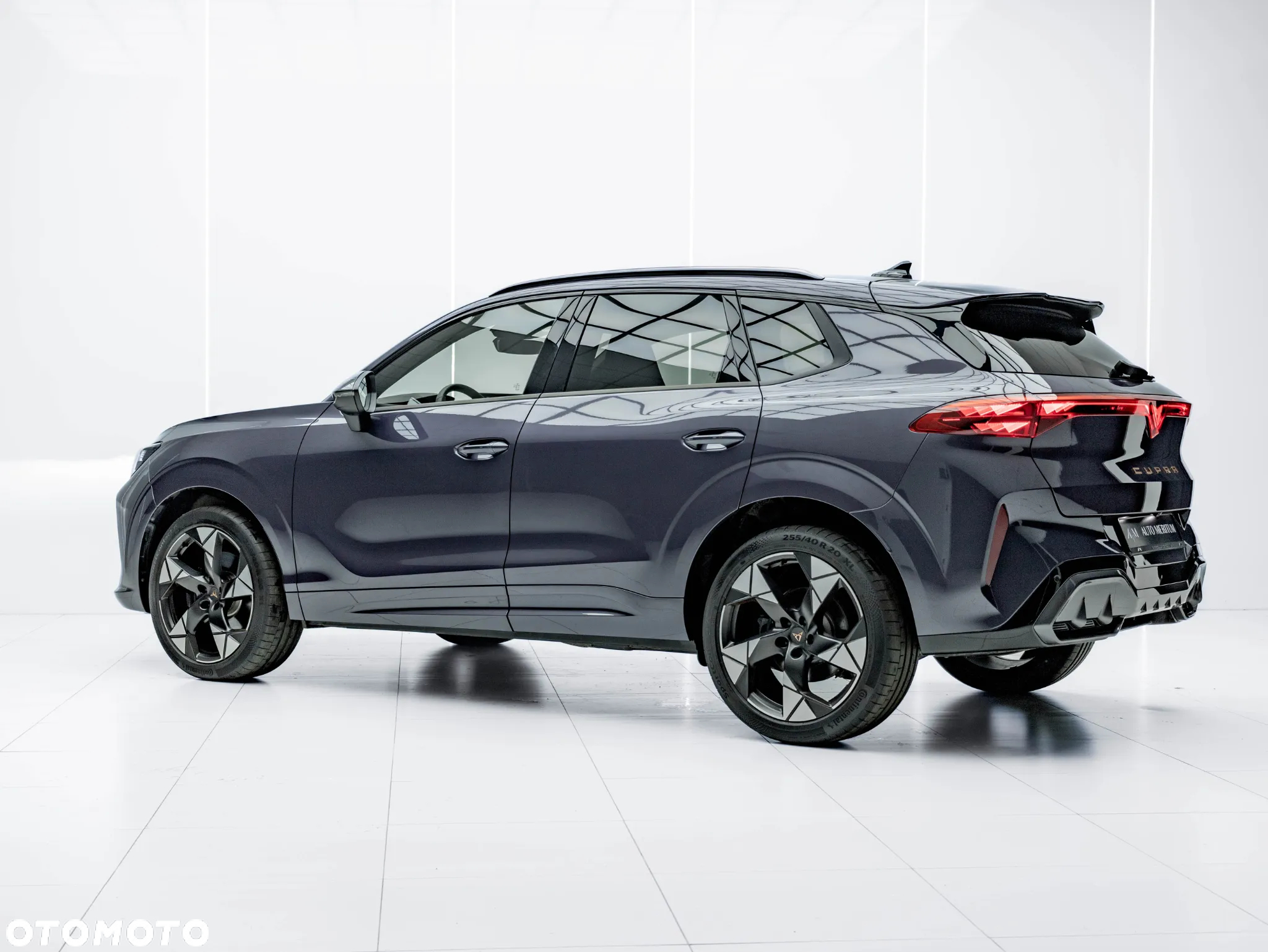Cupra Terramar 2.0 TSI 4Drive DSG VZ - 4