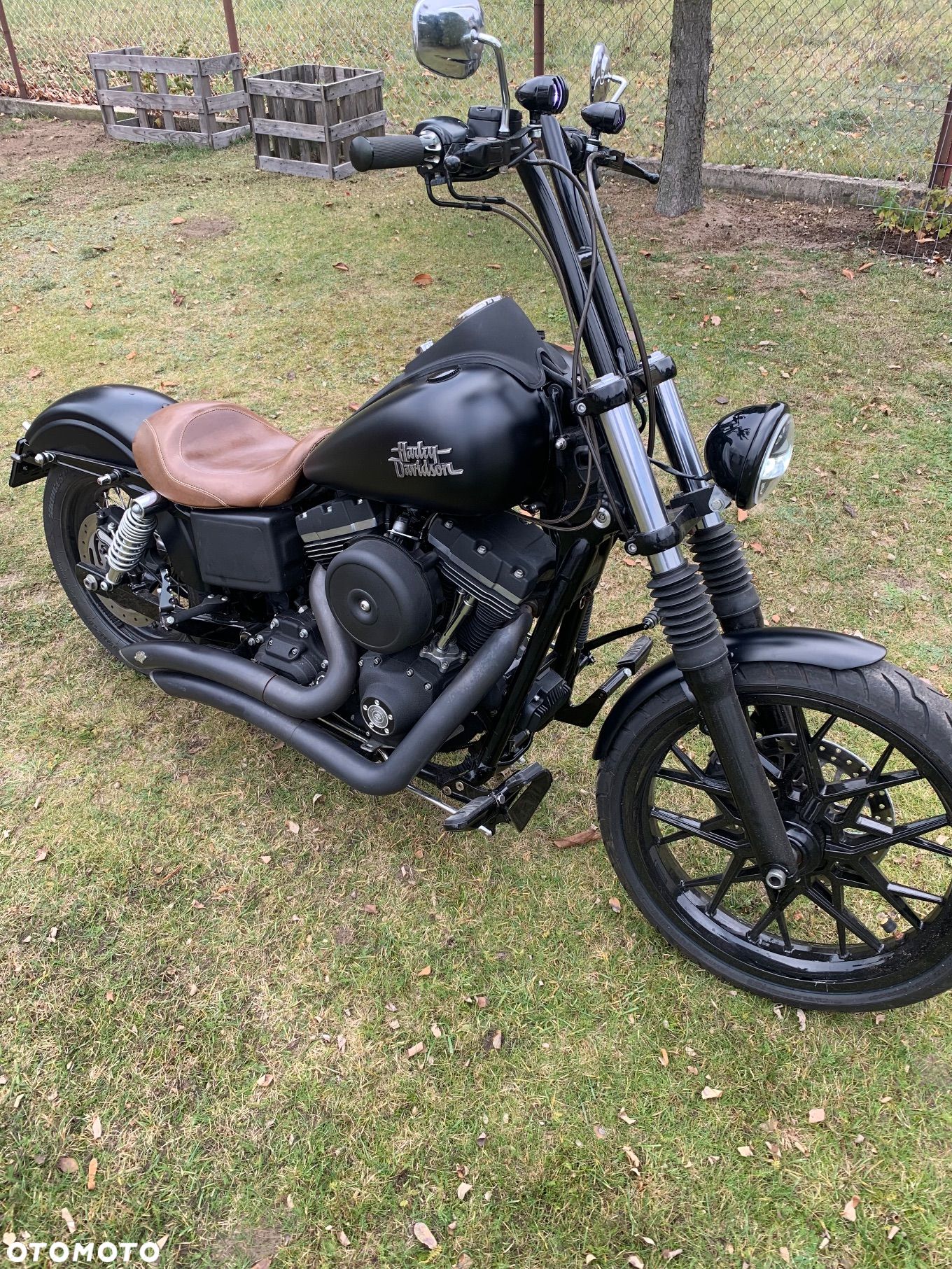 Harley-Davidson Dyna Street Bob - 1