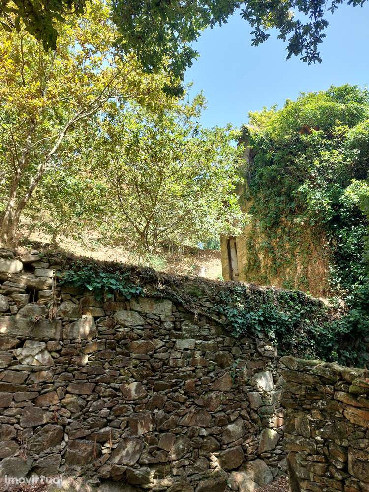 Terreno p/ construção – Sever do Vouga - Grande imagem: 2/18