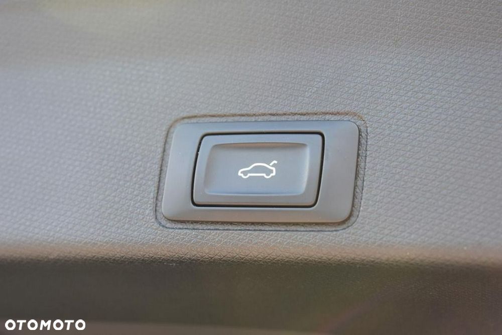 Cupra Terramar - 10