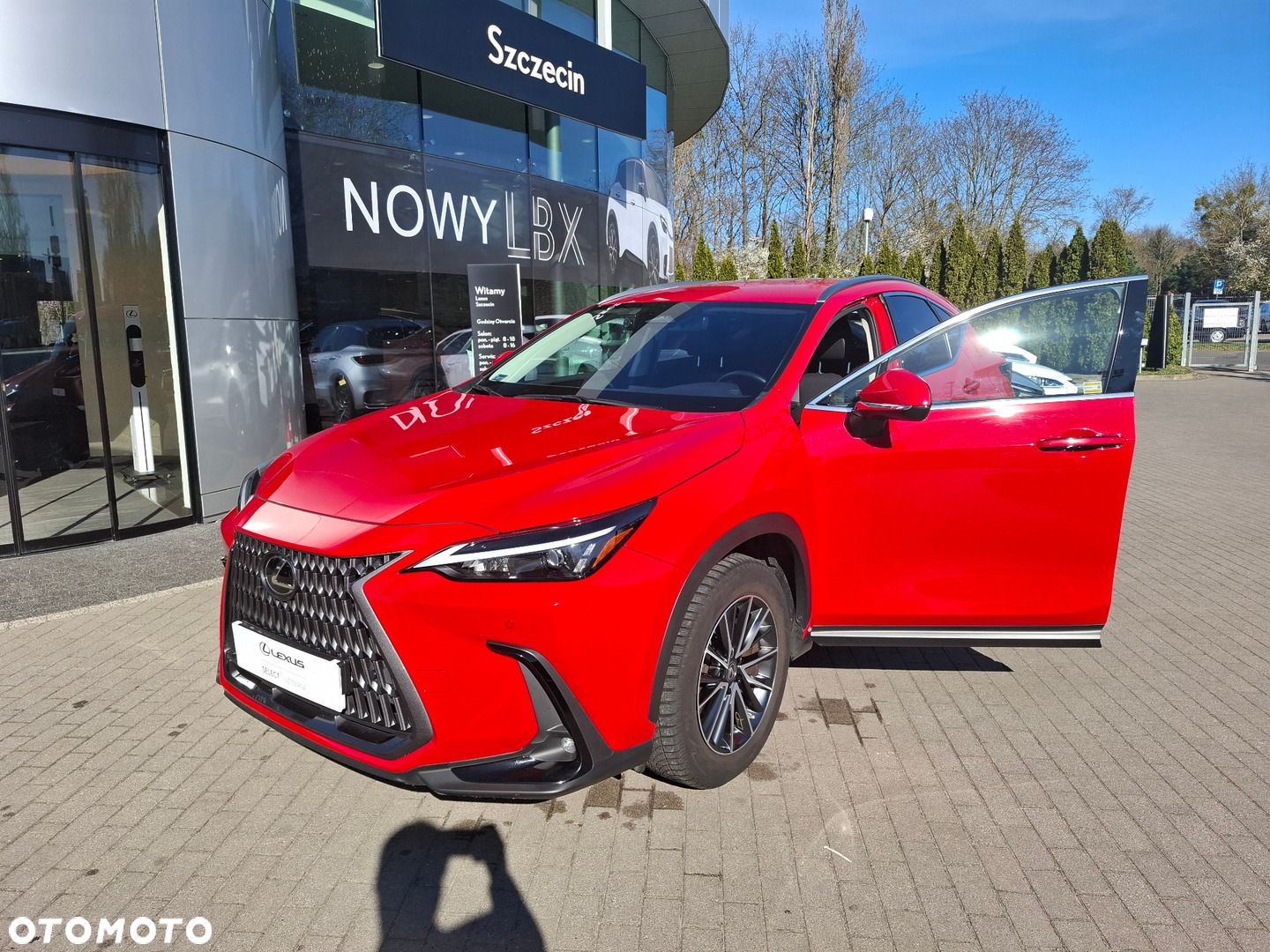 Lexus NX - 6