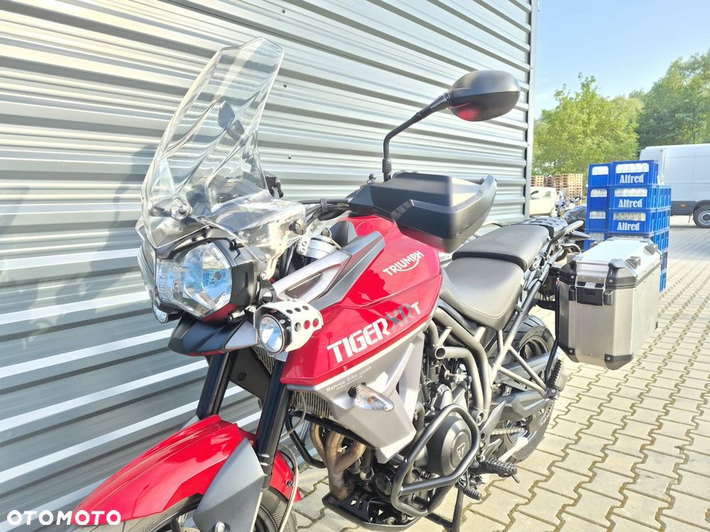 Triumph Tiger - 19