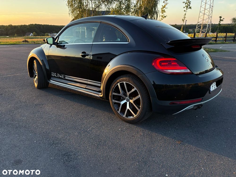 Volkswagen Beetle - 10