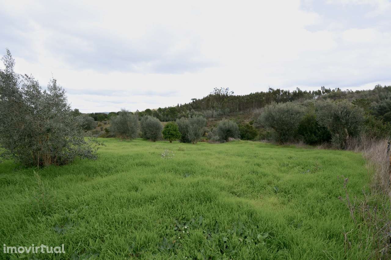 Terreno  Venda em Asseiceira,Tomar - Grande imagem: 2/10