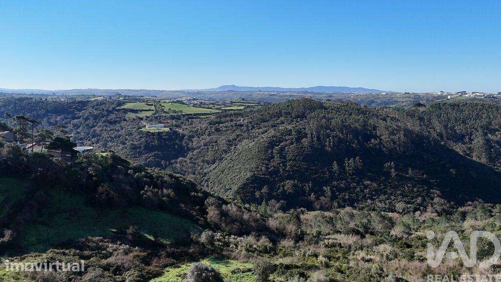 Terreno Agrícola em Mafra - Grande imagem: 5/27