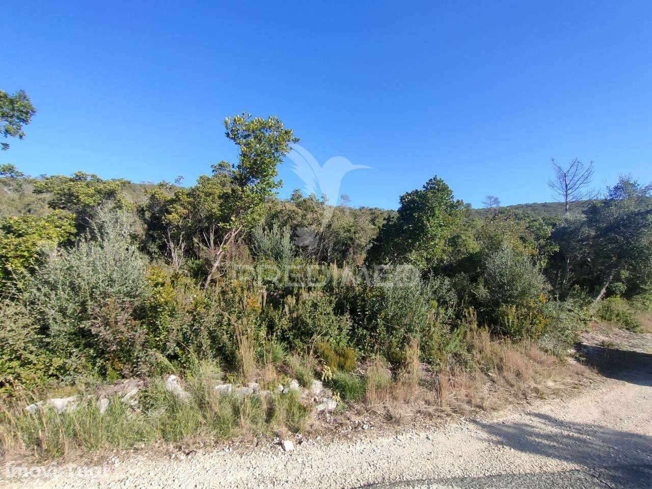 Terreno Rústico - Alcanena - Grande imagem: 3/14