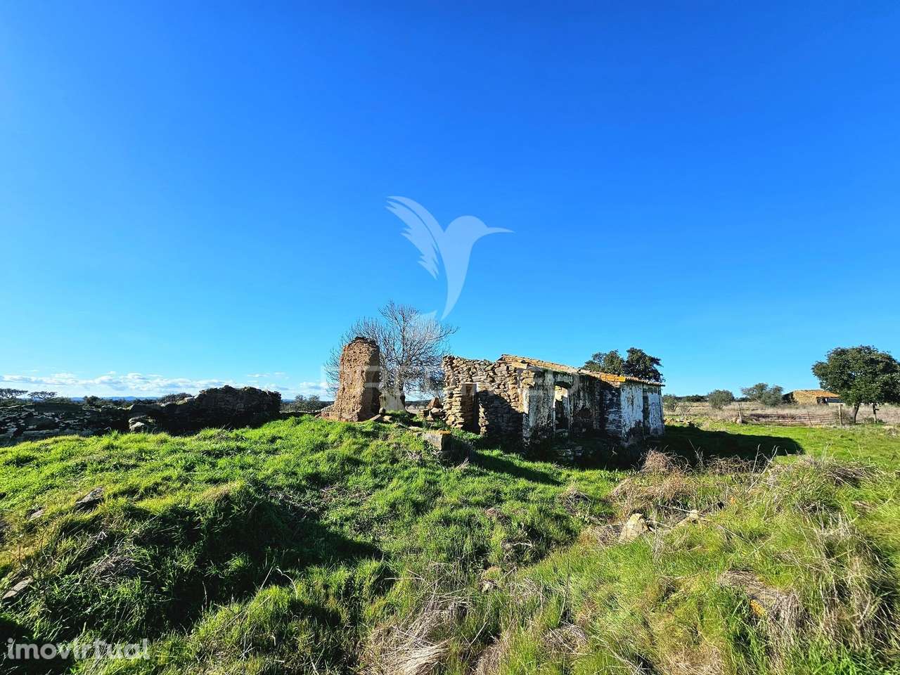 Terreno com 4,3 ha e Ruínas no concelho de Ourique - Grande imagem: 2/17