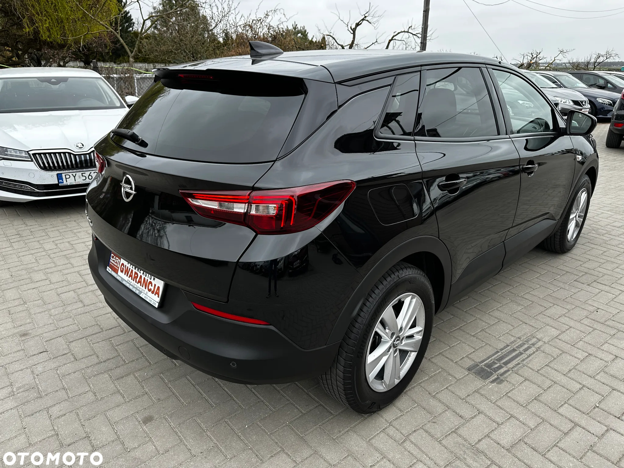 Opel Grandland X - 3