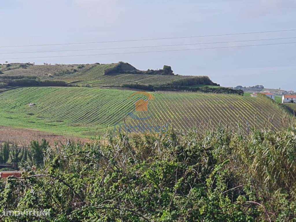 Terreno urbano 450 m2 | Arneiros, Ventosa TVD - Grande imagem: 3/3